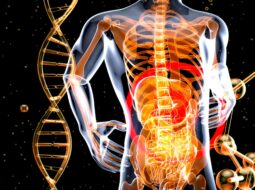 Chiropractic Medicine
